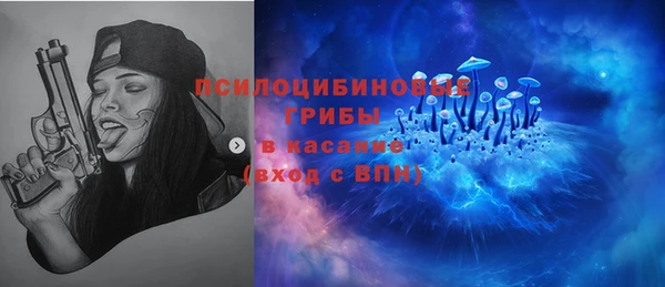 бошки Алексин