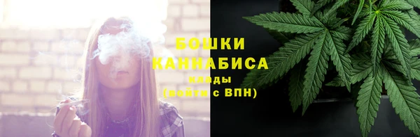 бошки Алексин