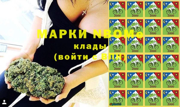 бошки Алексин