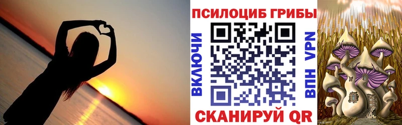 Галлюциногенные грибы Magic Shrooms  Камызяк 