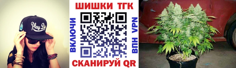 Бошки Шишки конопля  Камызяк 